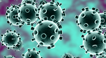 An Overview of Coronavirus